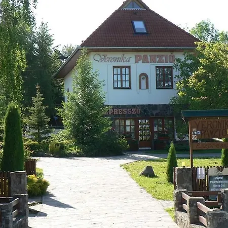 Veronika Vendeghaz Guest house