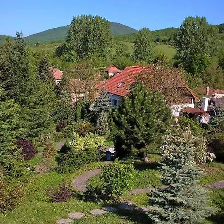 Konukevi Veronika Vendeghaz *