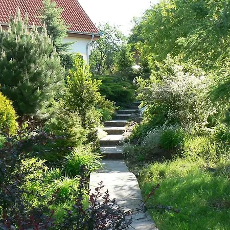 Guest house Veronika Vendeghaz Regec