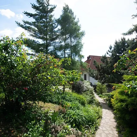 Veronika Vendeghaz Guest house *