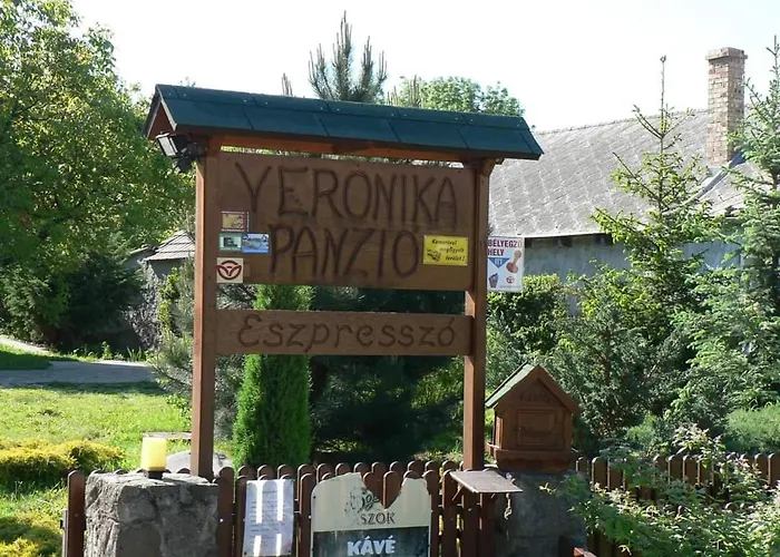 Veronika Vendeghaz Regec